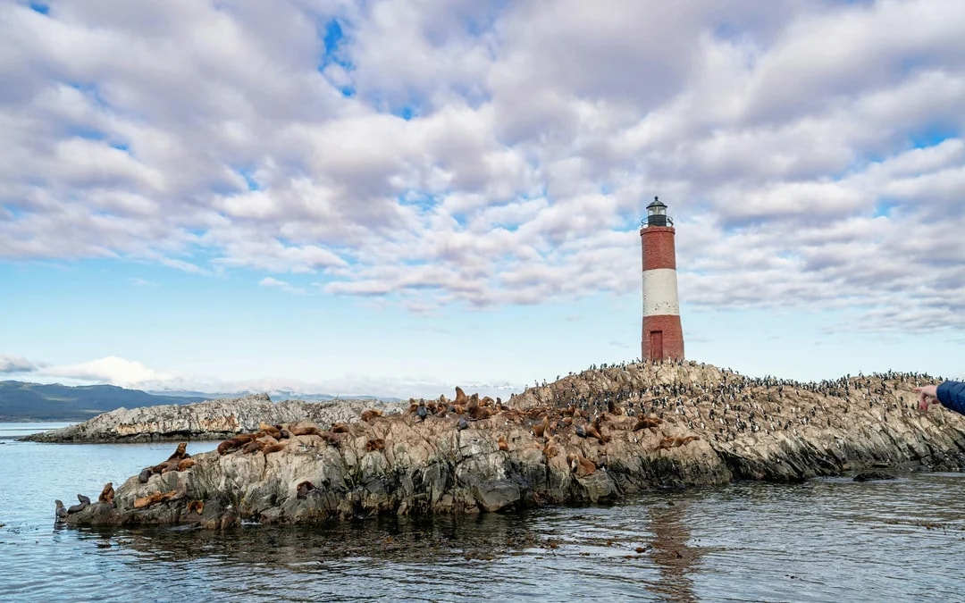 From Ushuaia: Beagle Channel Cruise Image 6