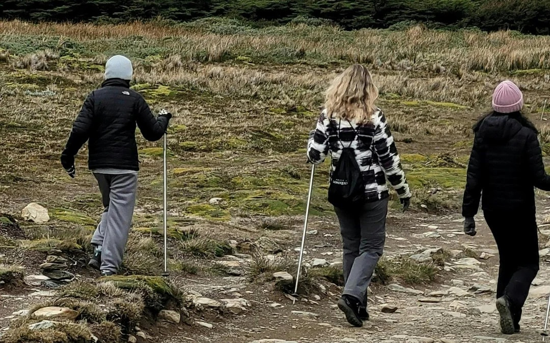 From Ushuaia: Martial Glacier Tour Image 8