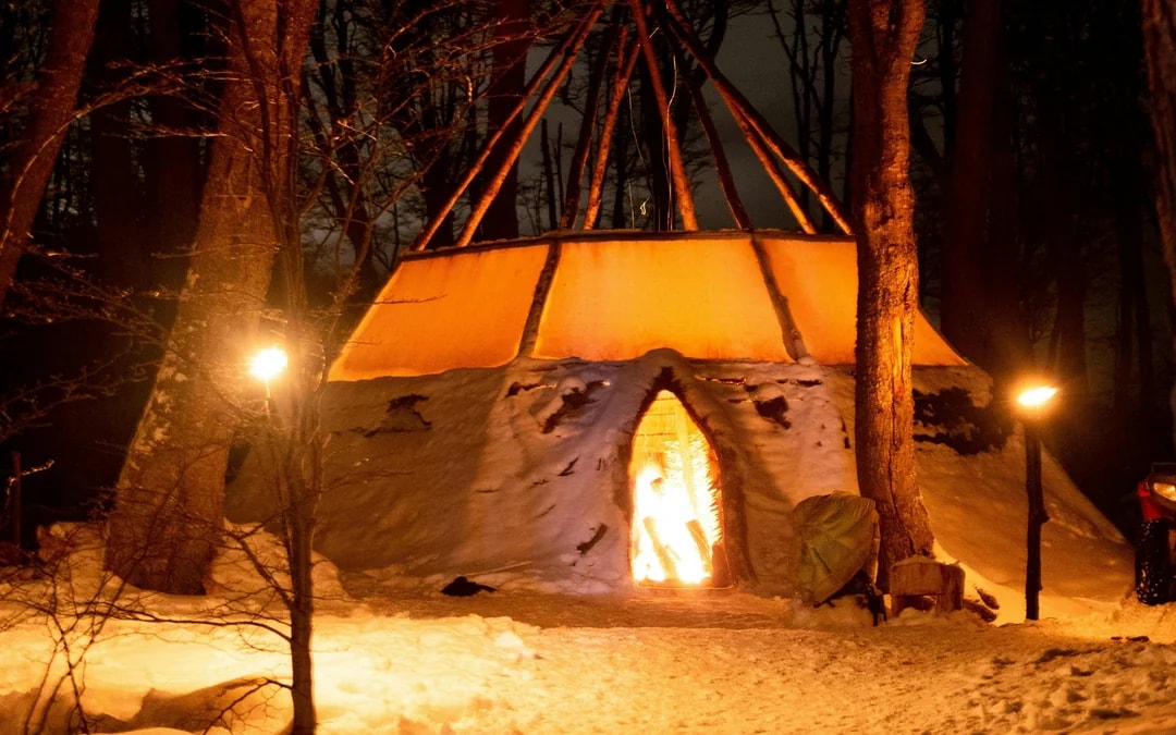 From Ushuaia: Snow and Fire Night Experience Image 9