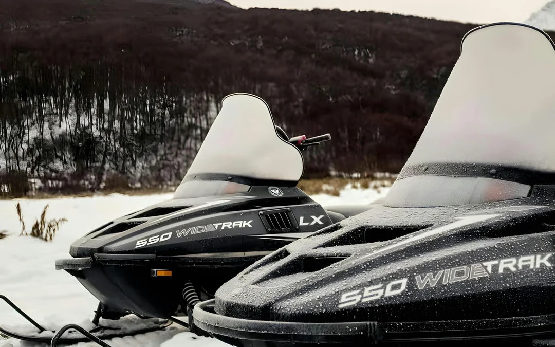 From Ushuaia: Snow Experience with Snowmobile & Husky Sled Image 4