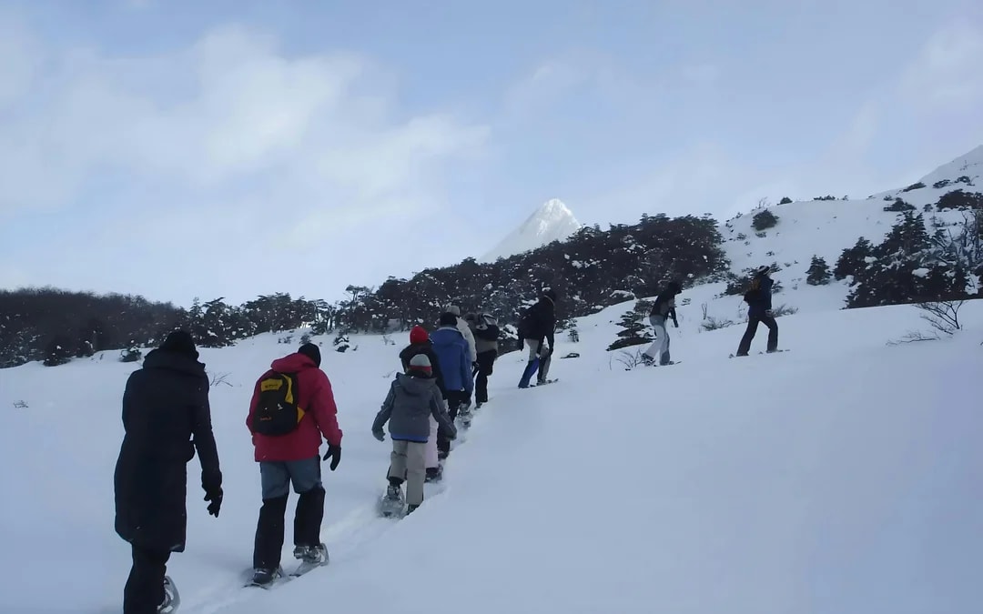 From Ushuaia: Snow Experience with Snowmobile & Husky Sled Image 6