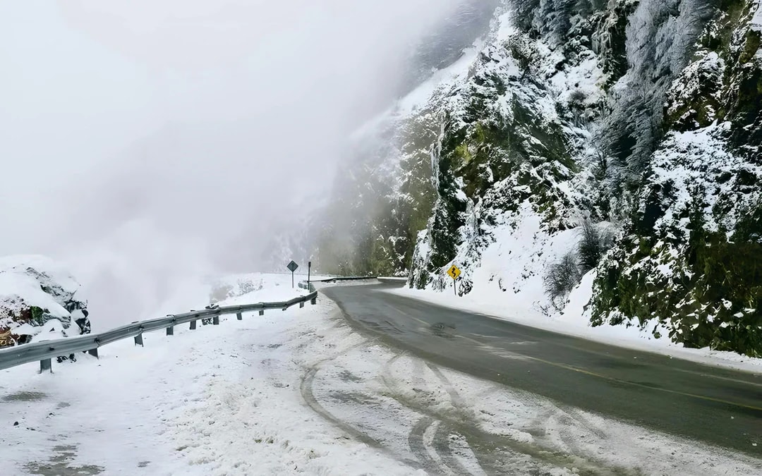 From Ushuaia: Snow Experience with Snowmobile & Husky Sled Image 8