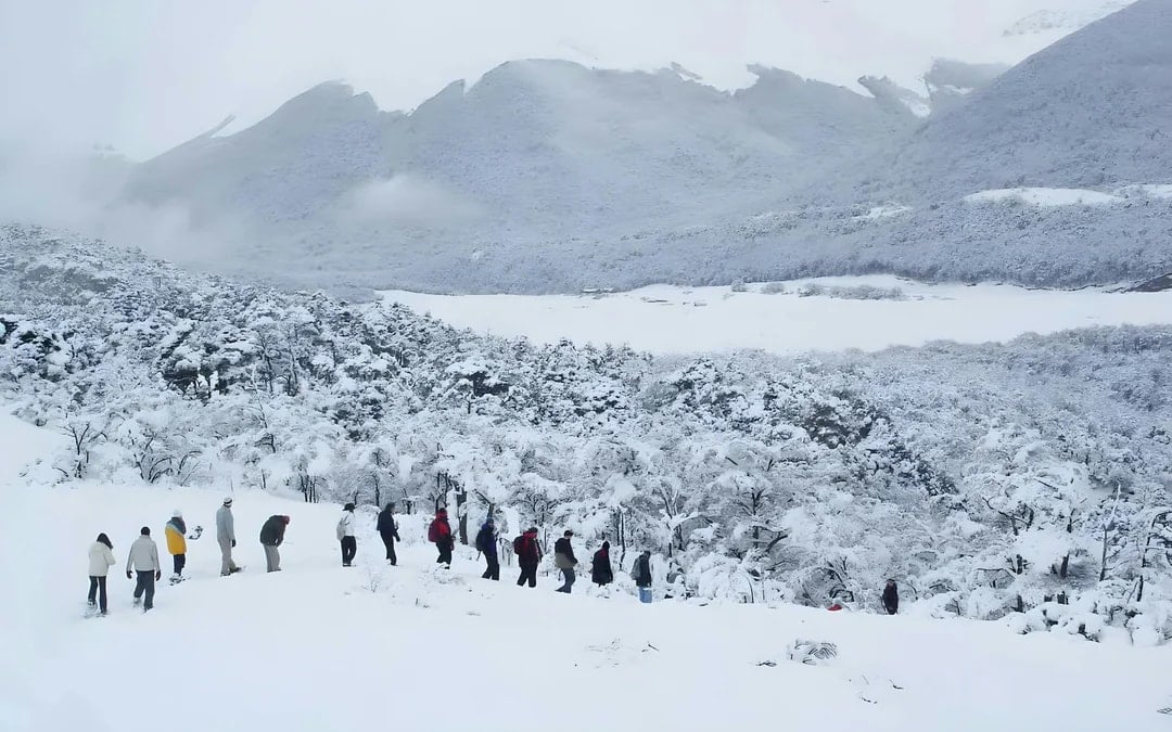 From Ushuaia: Snow Experience with Snowmobile & Husky Sled