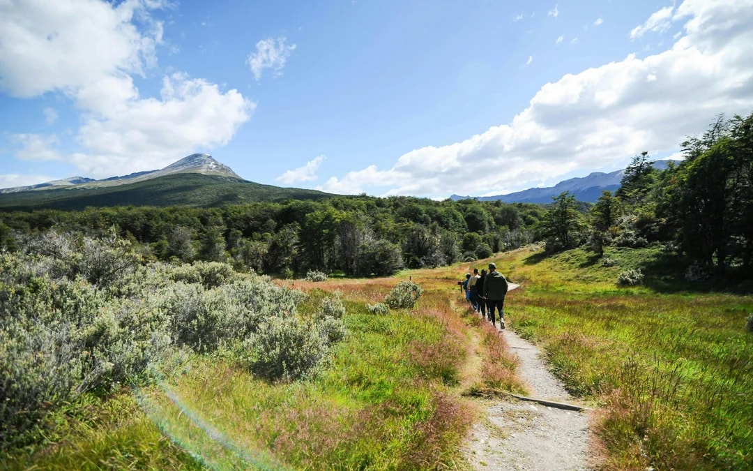 From Ushuaia: Tierra del Fuego National Park Tour Image 7