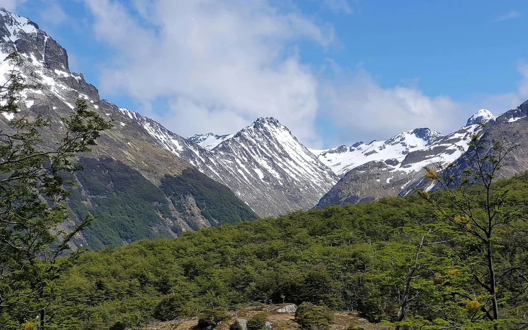 From Ushuaia: Vinciguerra Glacier & Témpanos Lagoon Trekking Image 11