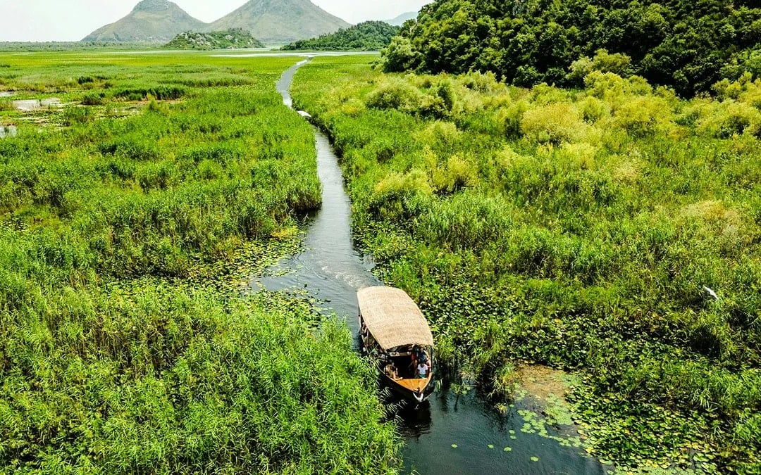 From Virpazar: Lake Skadar Sightseeing Boat Tour & Kom Monastery with Drinks
Image 1
