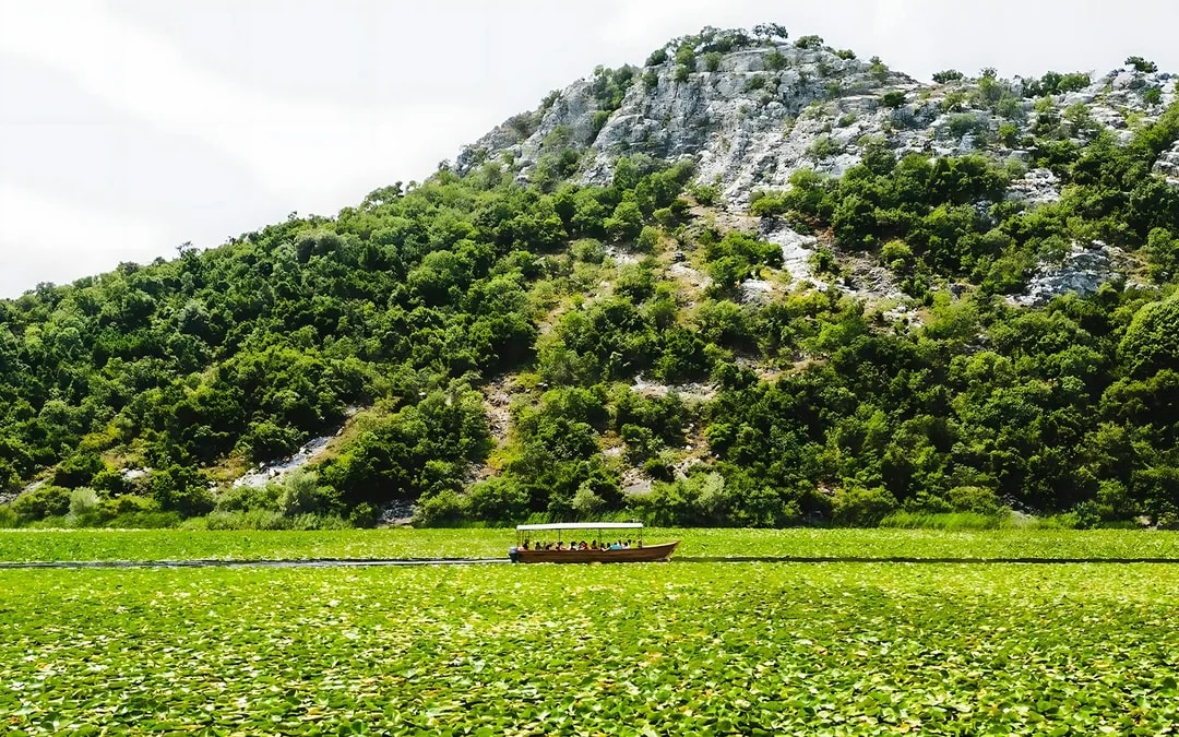 From Virpazar: Lake Skadar Sightseeing Boat Tour & Kom Monastery with Drinks
 Image 3