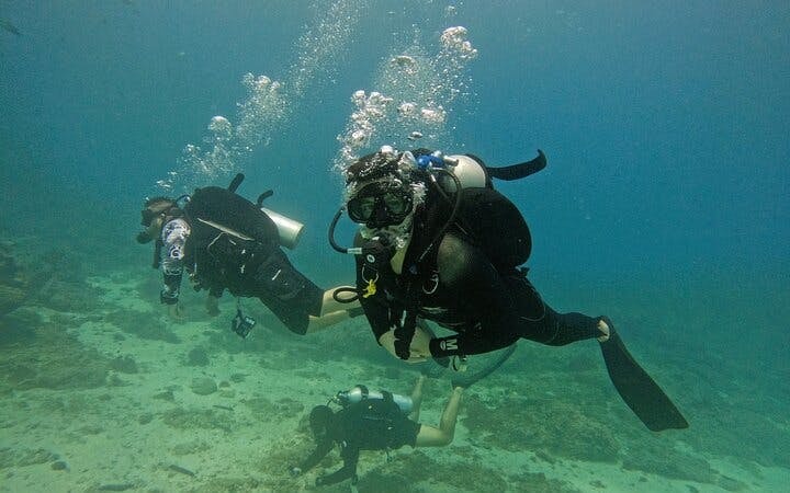 Fujairah Certified Diver Guided Dives at East Coast Sites with Tanks, Weights, and Facilities Access Image 5