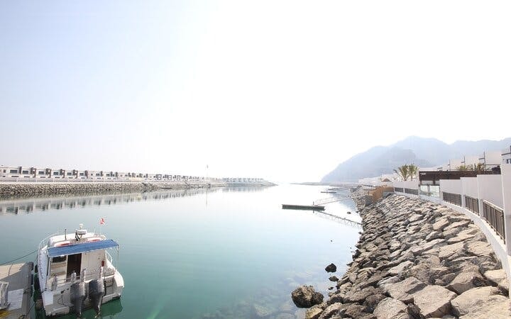 Fujairah Certified Diver Guided Dives at East Coast Sites with Tanks, Weights, and Facilities Access Image 6