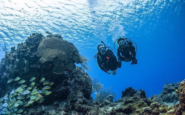 Fujairah PADI Open Water Diver Course Image 5