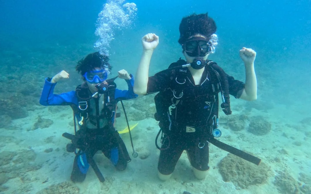 Fujairah Scuba Diving and Snorkeling Experience with Equipment and Underwater Photos Image 3