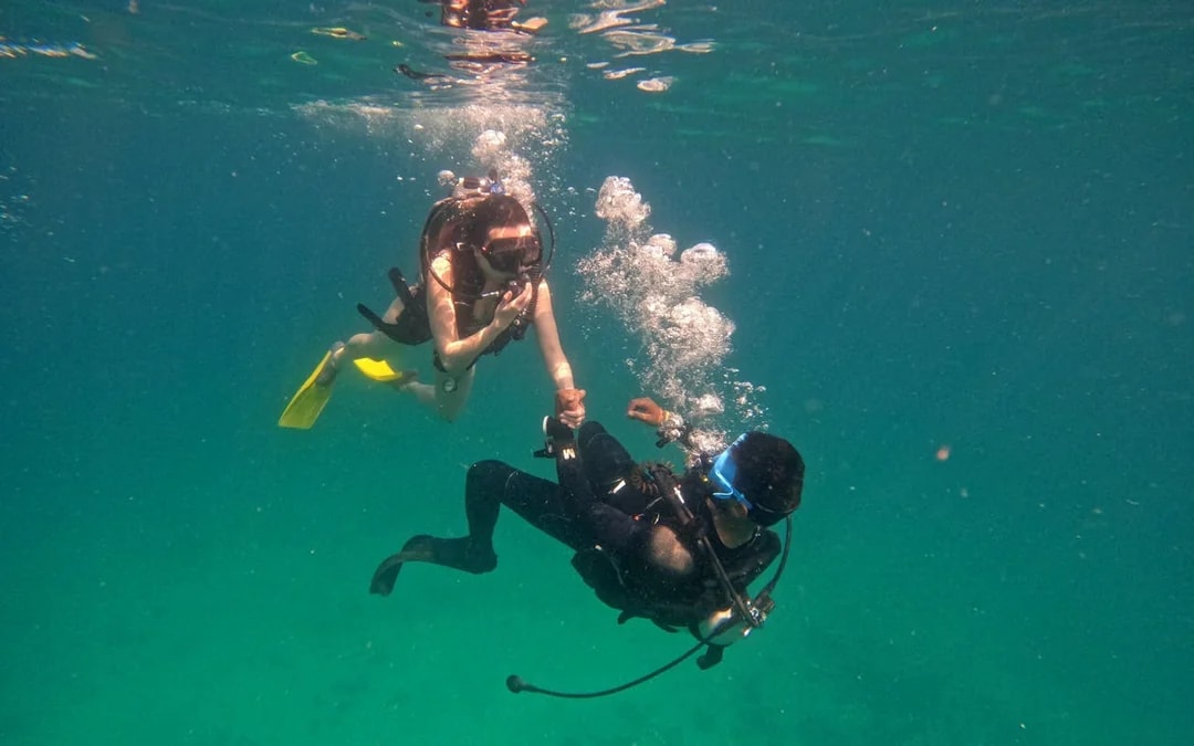 Fujairah Scuba Diving and Snorkeling Experience with Equipment and Underwater Photos Image 6