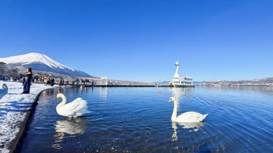 Fuji train and twin lakes day tour: Lake Kawaguchi cable car, cruise ship, Lake Yamanaka and Sengen Park