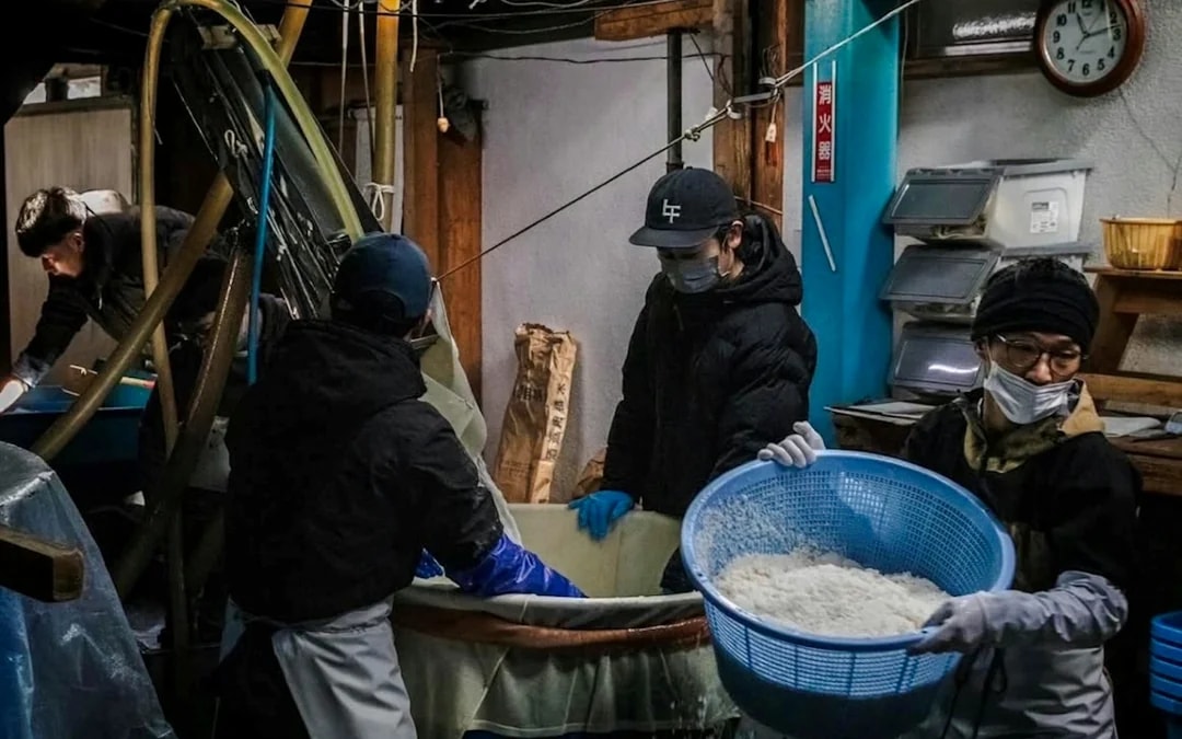 Fukushima: Toyokuni Sake Brewery Tour and Tasting Image 2