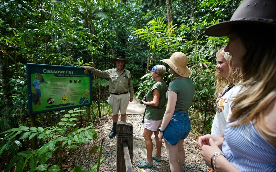 From Cairns/Port Douglas: Small Group Full Day 4WD Tour of Daintree Rainforest, Cape Tribulation, River Cruise, Lunch & Ice-Cream
Image 2