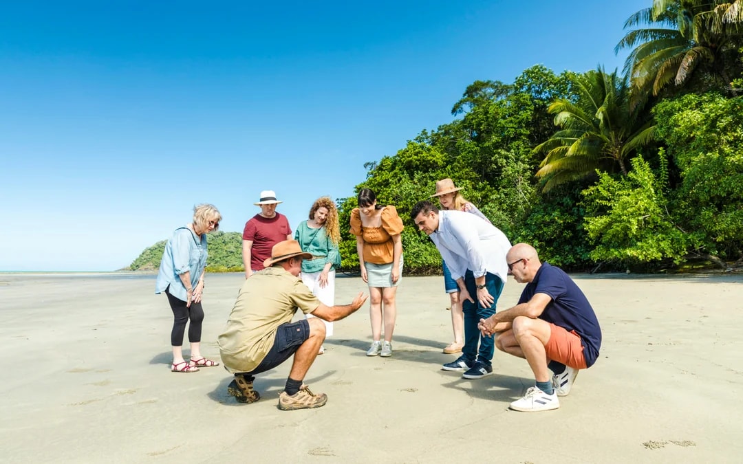 From Cairns/Port Douglas: Small Group Full Day 4WD Tour of Daintree Rainforest, Cape Tribulation, River Cruise, Lunch & Ice-Cream
 Image 11