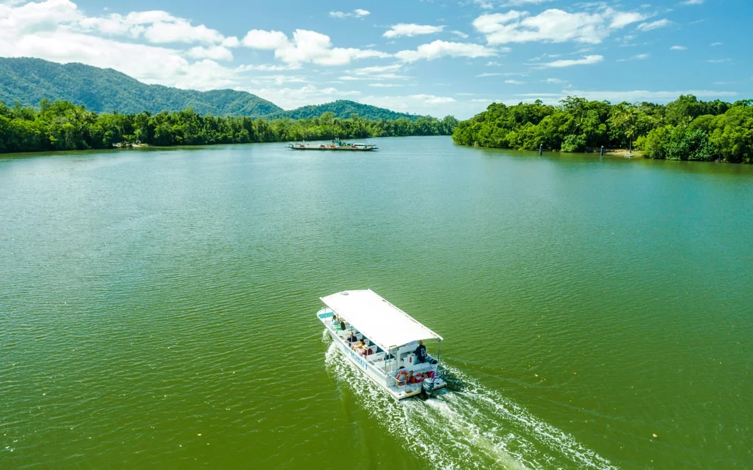 From Cairns/Port Douglas: Small Group Full Day 4WD Tour of Daintree Rainforest, Cape Tribulation, River Cruise, Lunch & Ice-Cream
Image 3
