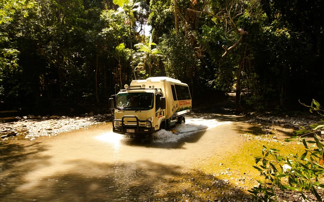 From Cairns/Port Douglas: Small Group Full Day 4WD Tour of Daintree Rainforest, Cape Tribulation, River Cruise, Lunch & Ice-Cream
 Image 4