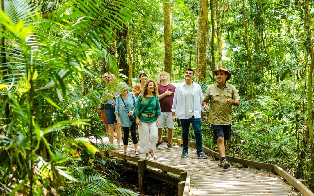 From Cairns/Port Douglas: Small Group Full Day 4WD Tour of Daintree Rainforest, Cape Tribulation, River Cruise, Lunch & Ice-Cream