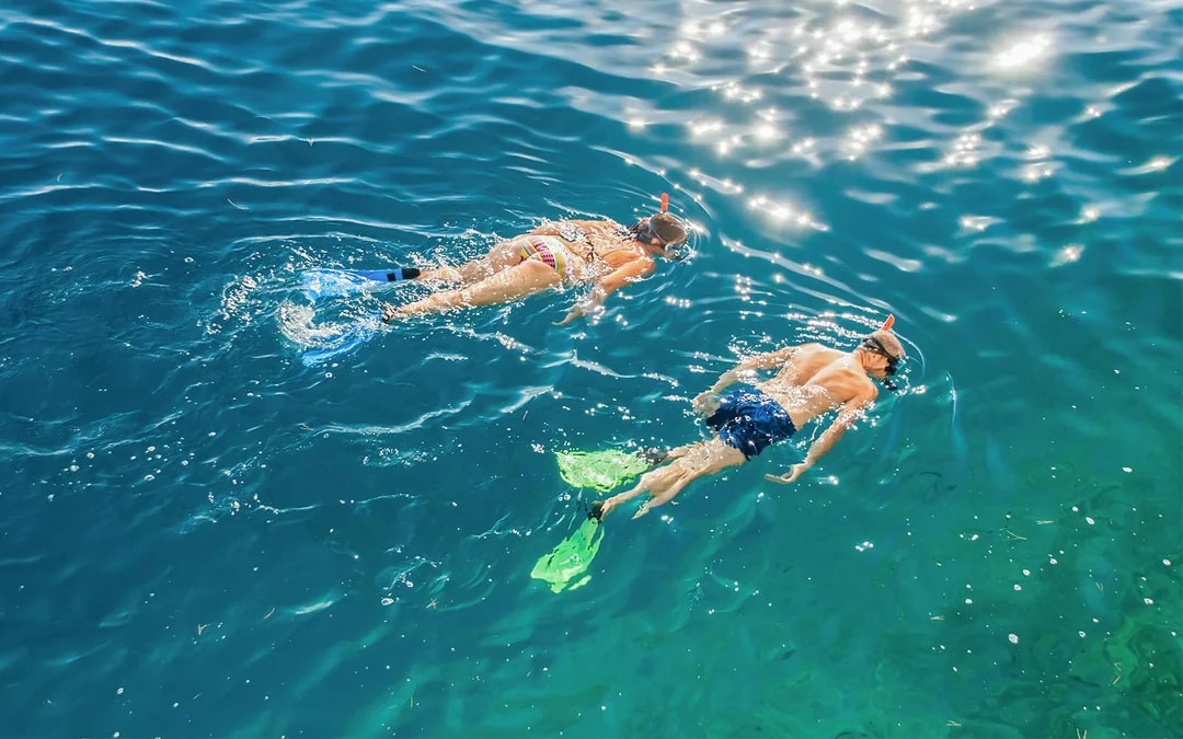 Full-Day Castaway Island Small Group Cruise by High Speed Catamaran including Lunch & Hotel Transfers Image 8