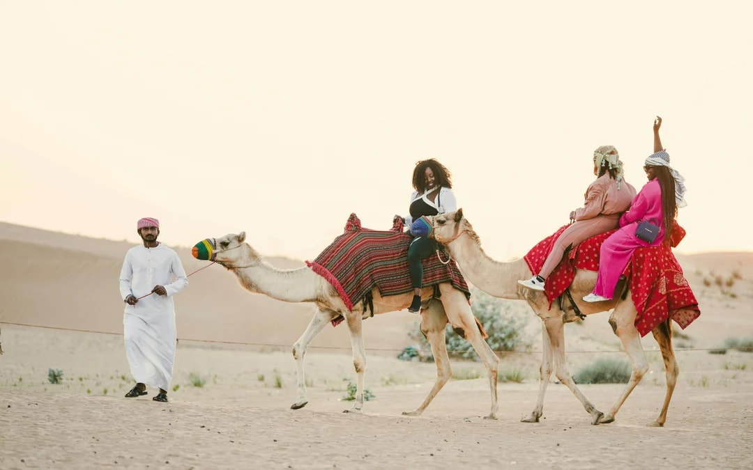 Full-Day Doha City Tour & Desert Safari with Camel Ride & Inland Sea Visit Image 11