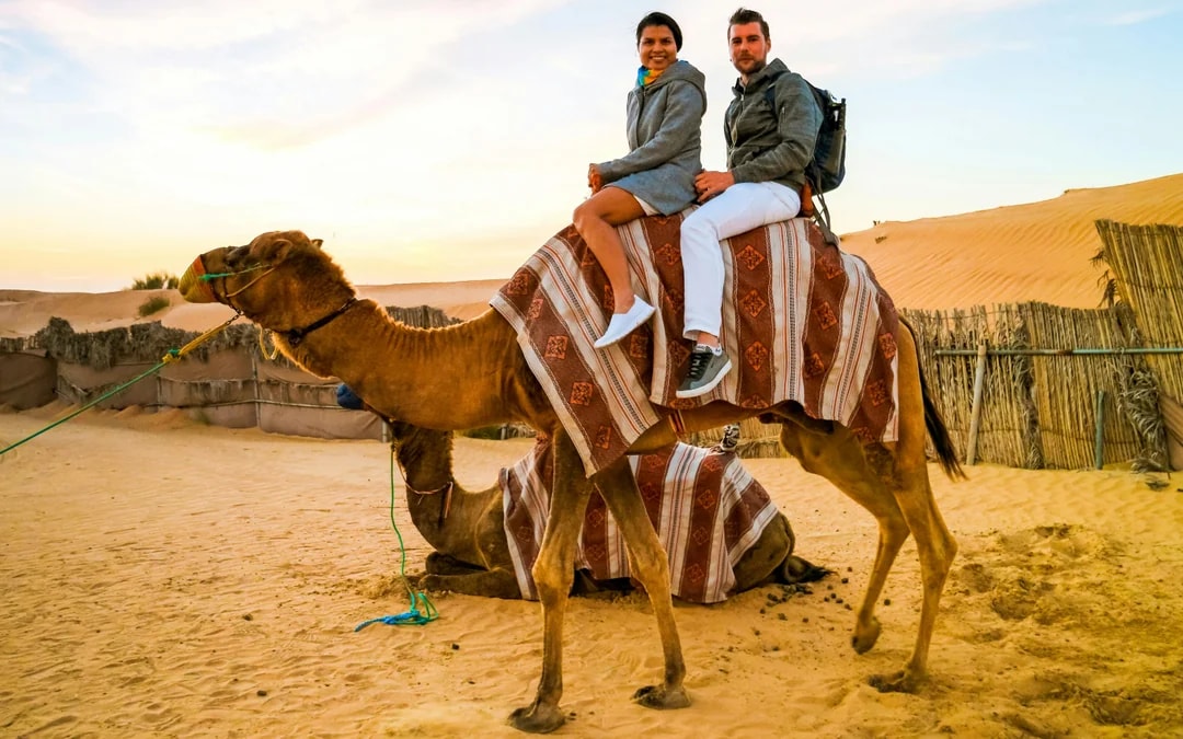 Full-Day Doha City Tour & Desert Safari with Camel Ride & Inland Sea Visit Image 12