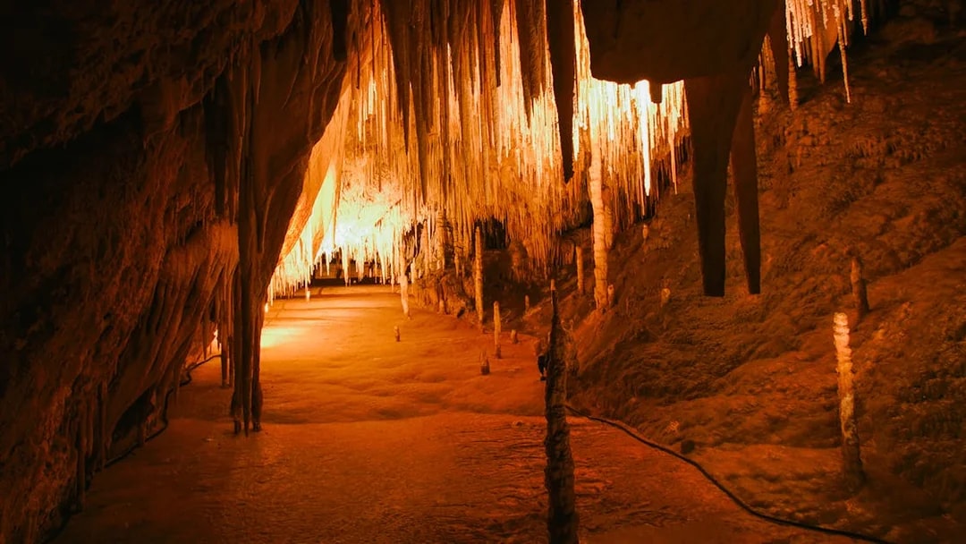 Stalactites and stalagmites inside Hastings Caves, Tasmania, illuminated by warm light.