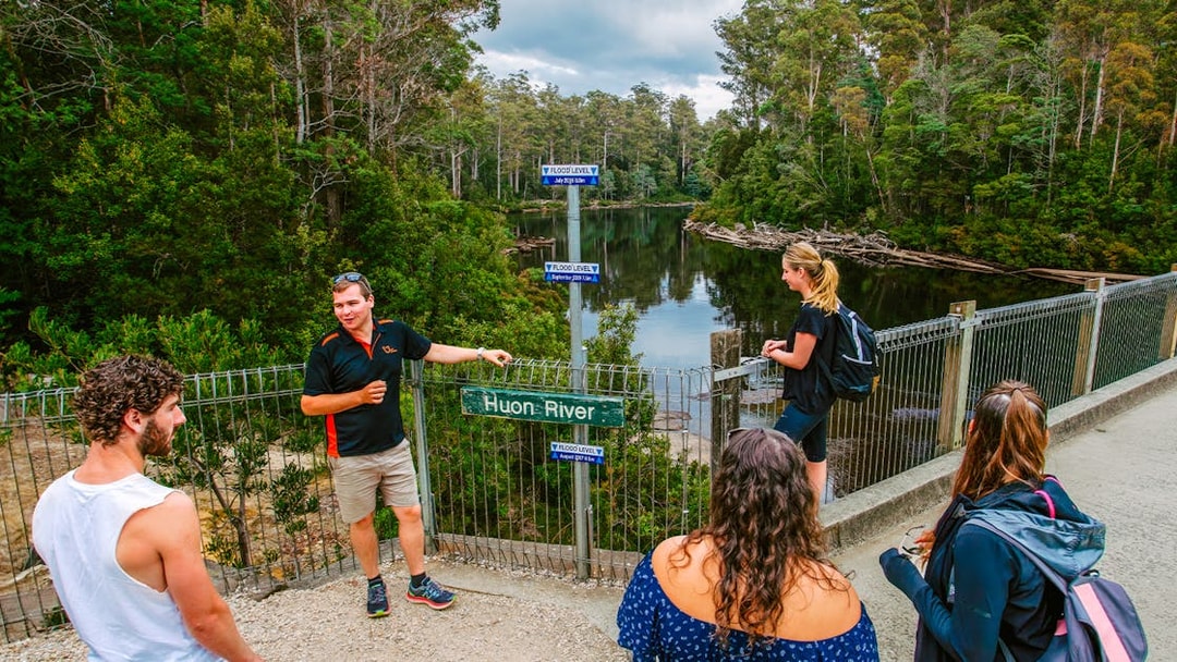 Guide explaining Huon River view to tourists on Tahune Airwalk tour.