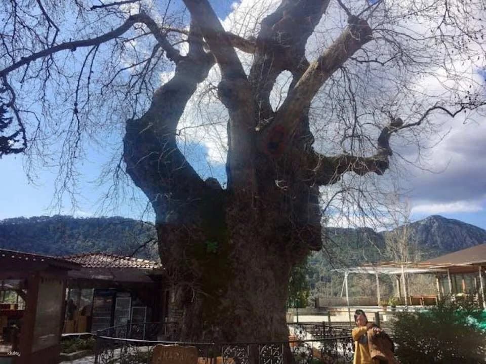 Full-day Marmaris 4x4 Off-road Safari
