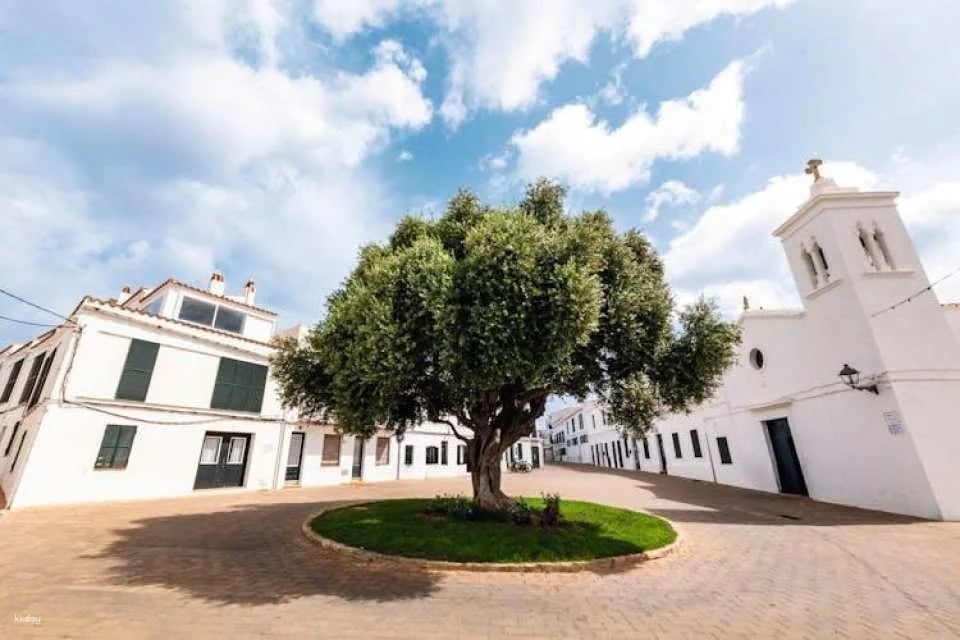 Full-day Menorca countryside tour with cheese-tastings