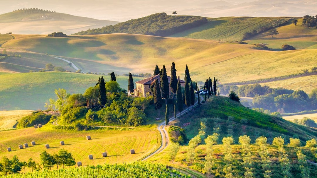 Val d'Orcia landscape with cypress-lined villa, vineyards, and rolling hills in Tuscany.