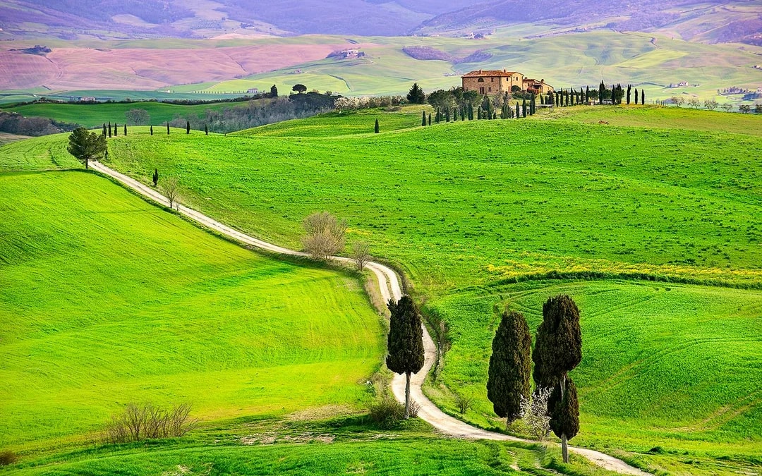 Full-Day Tour of Val D’Orcia Image 7