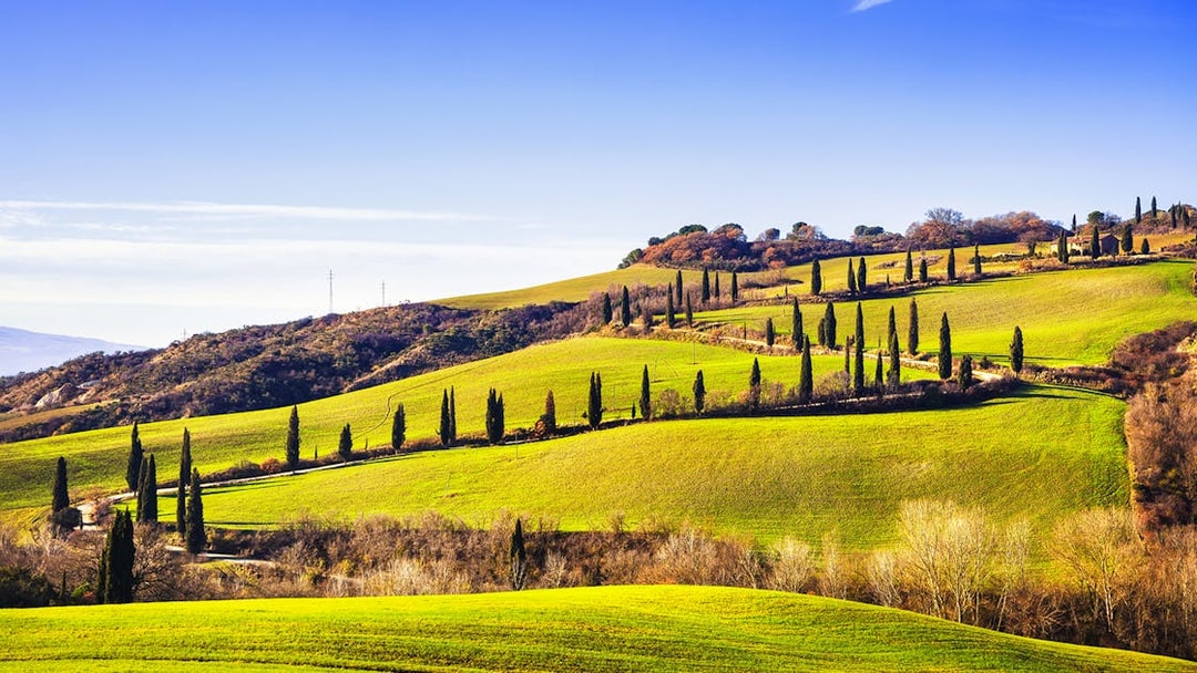 Val D’Orcia rolling hills with cypress trees under a clear blue sky.
