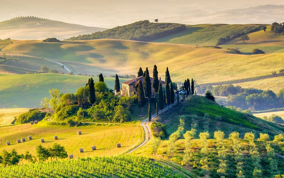 Full-Day Tour of Val D’Orcia Image 8