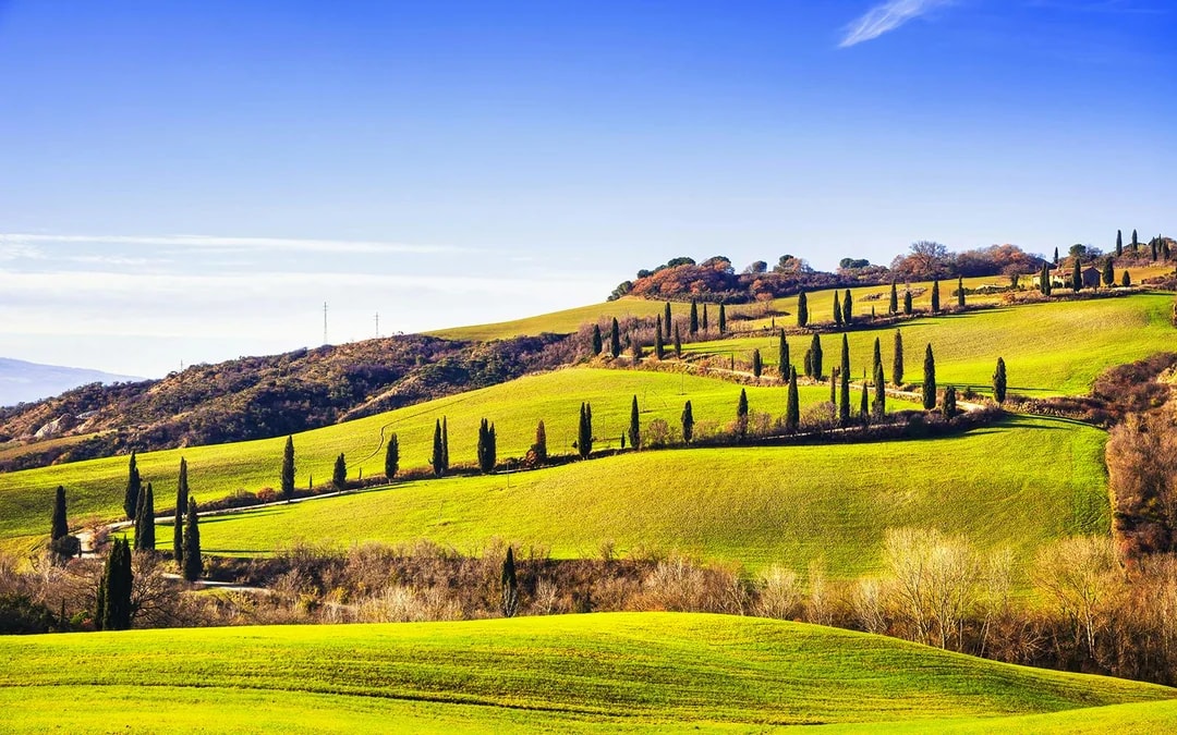 Full-Day Tour of Val D’Orcia Image 9