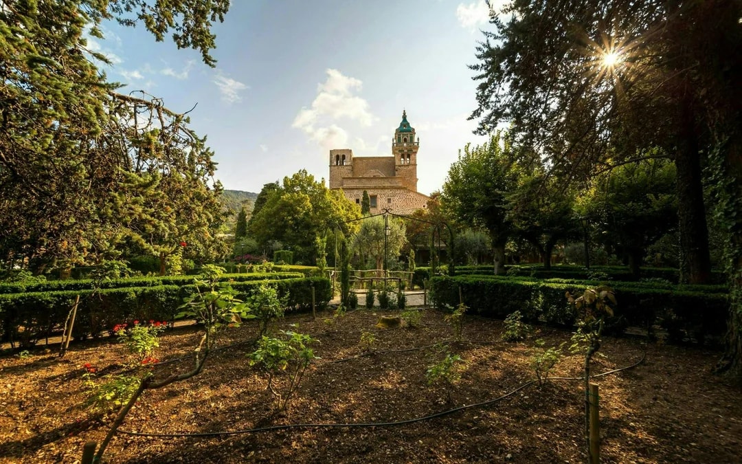 Full-Day Valldemossa and Majorca West Coast Tour Image 11