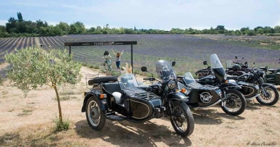 Full-day wine & beer tour in Provence