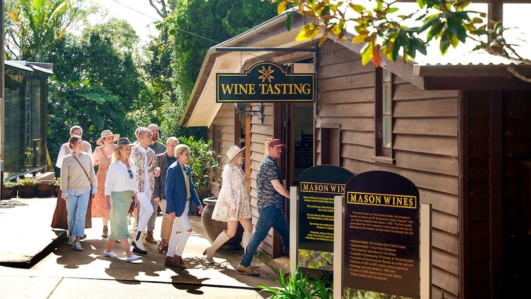 Group entering Mason Wines for tasting on Gold Coast winery tour.