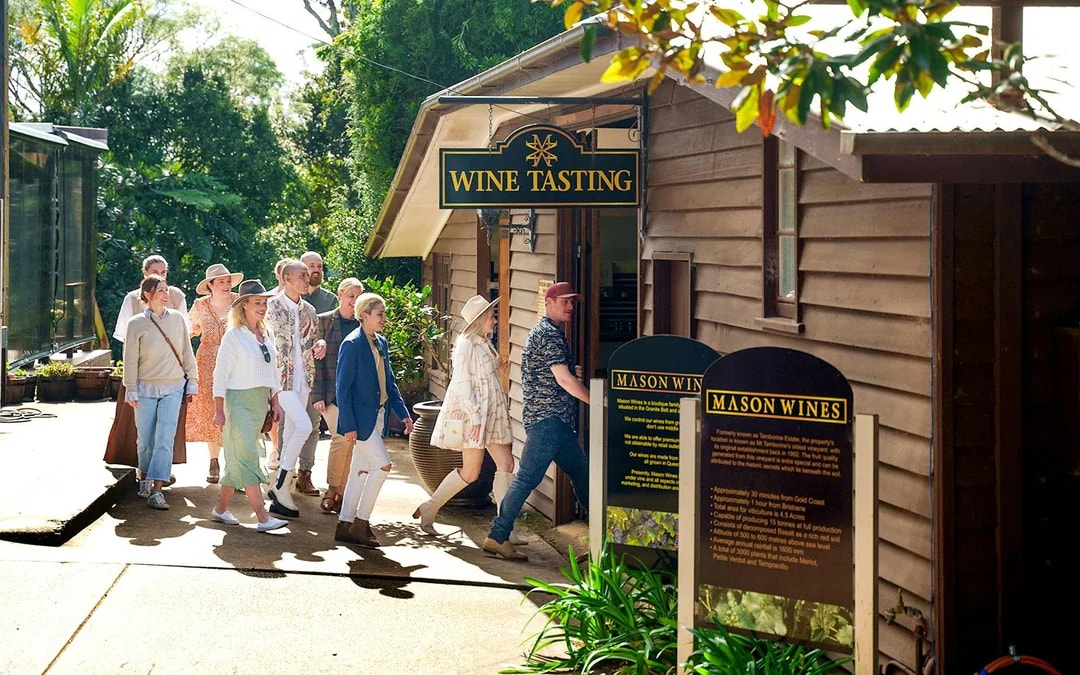 Full-Day Winery Tour: Gold Coast Pick-Up Image 1