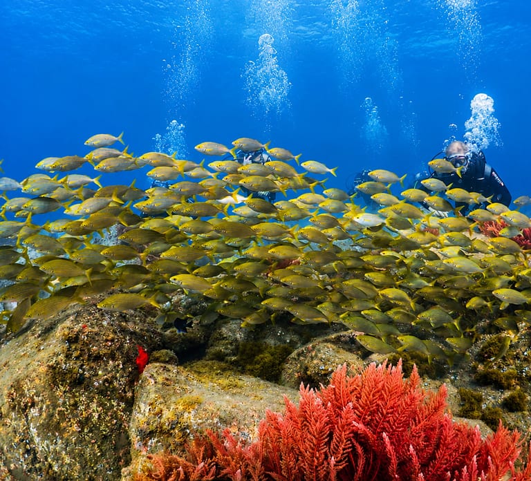 Funchal: First-Time Scuba Diving Adventure