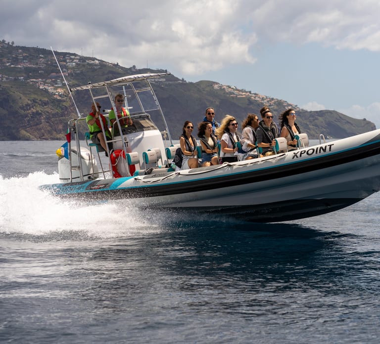 Funchal: RIB Whale Watching Cruise and Optional Dolphin Swim