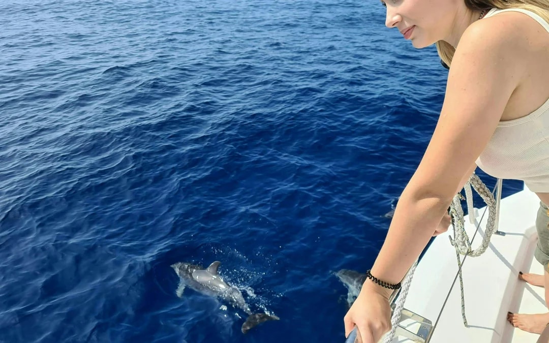 Funchal Small-Group Luxury Catamaran Dolphin & Whale Watching Image 6