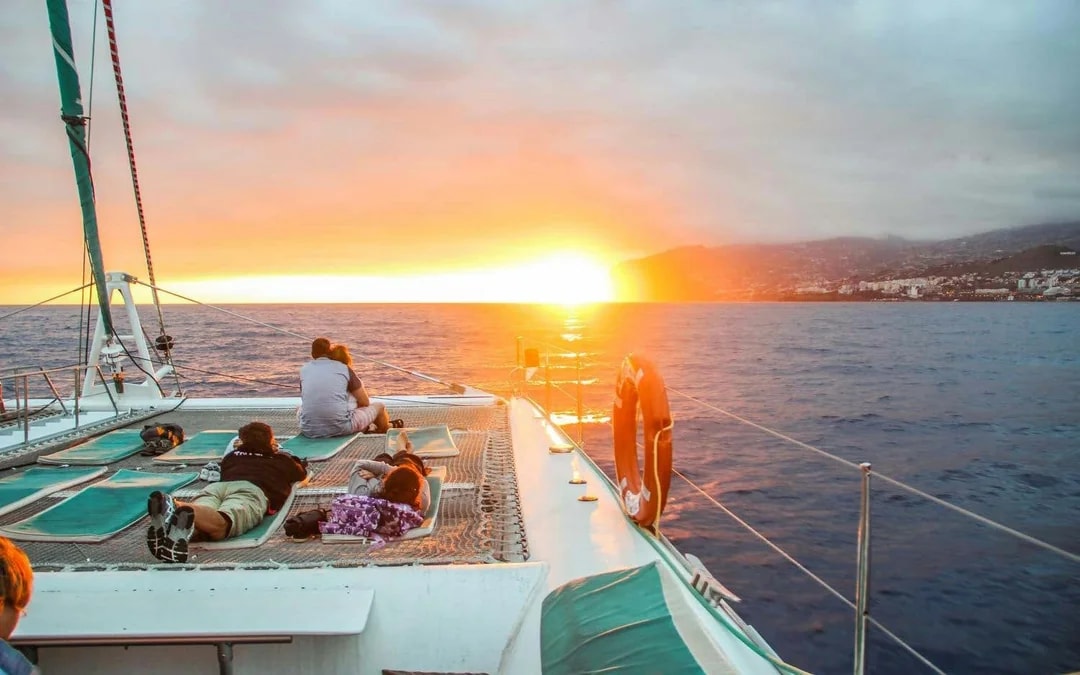Funchal Sunset Sailing Dolphin & Whale Watching Image 6