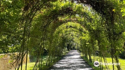 Fuyuan National Forest Recreation Area