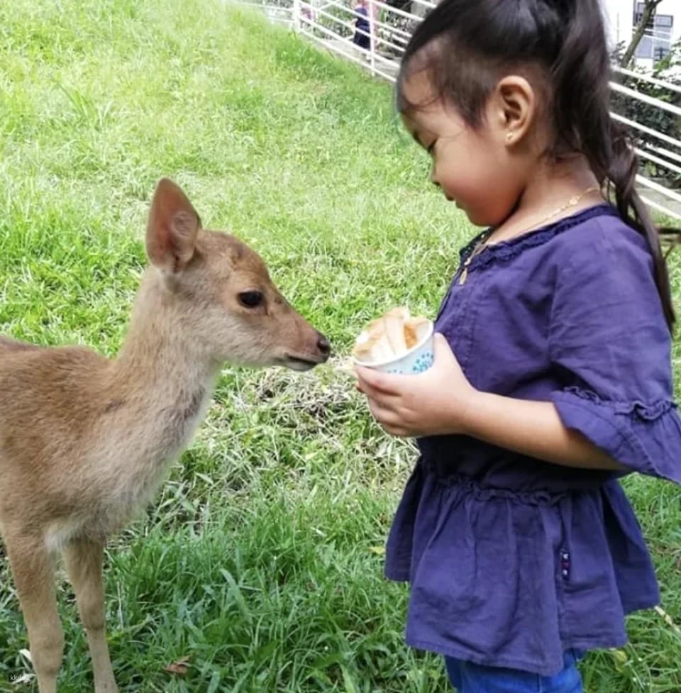 G2G Animal Garden Ticket | Selangor