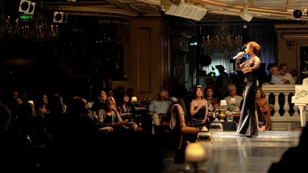 Performer singing at Gala Tango Show in Buenos Aires, audience watching attentively.