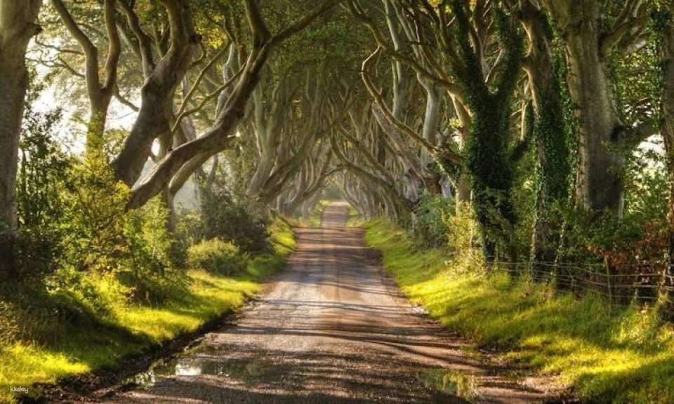 Game of Thrones tour with Giant’s Causeway from Belfast