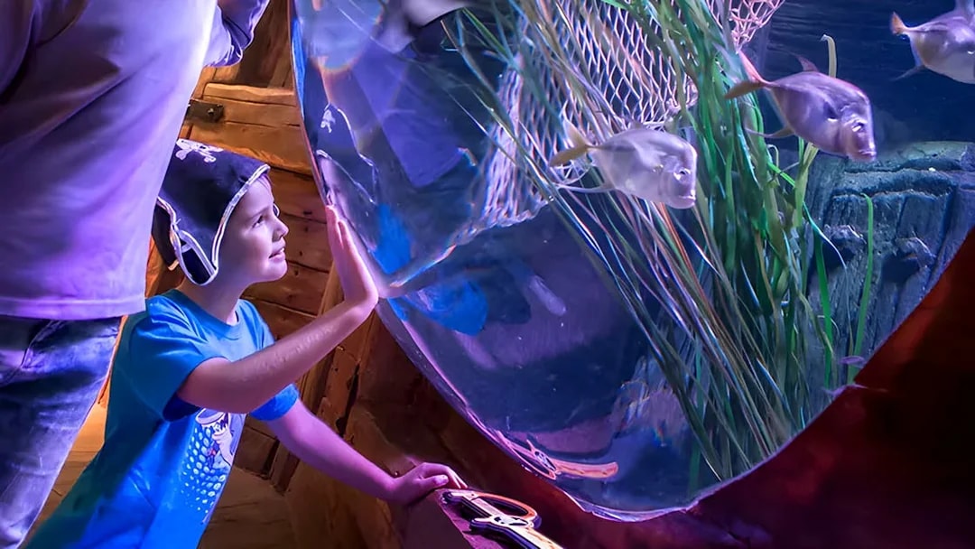 Kids observing fish at SEA LIFE Aquarium, Gardaland Park.
