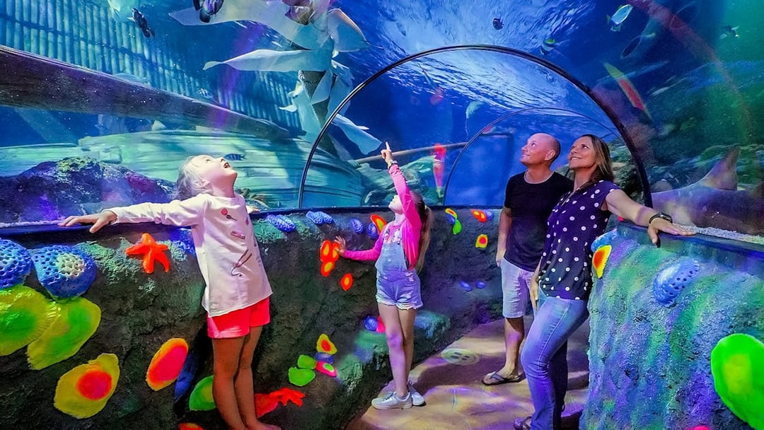 Kids observing sharks and fish in tunnel at Sea Life Aquarium, Verona.