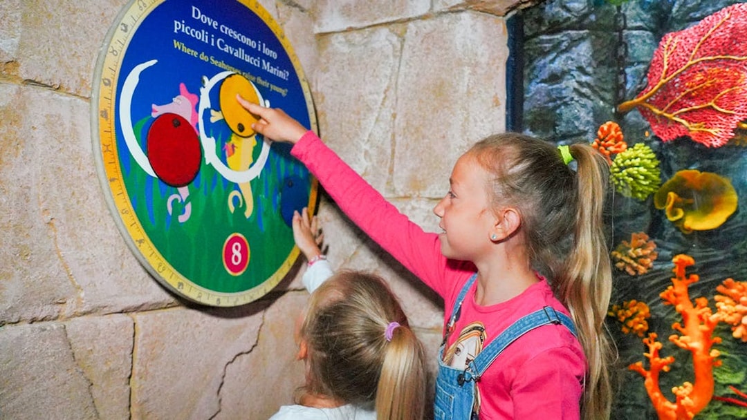 Young girls interacting with seahorse quiz at Sea Life Aquarium, Verona.